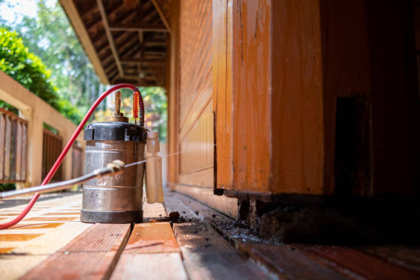Best Affordable Pest Control Services  in Belzoni, MS