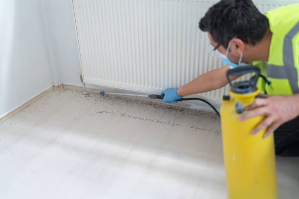 Best Local Pest Control Services  in Belzoni, MS